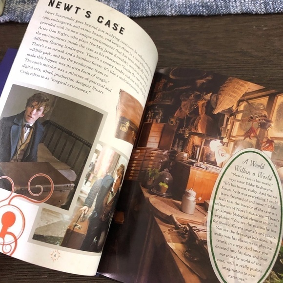 Incredi builds: Fantastic Beasts & Where to find Them: Swooping Evil 3D wood art - Picture 4 of 5